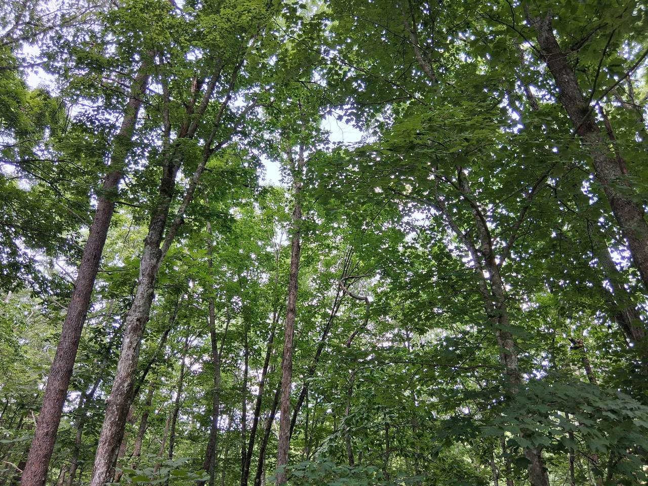 https://bt-photos.global.ssl.fastly.net/nashville/1280_boomver_1_RTC3228486-1.jpg