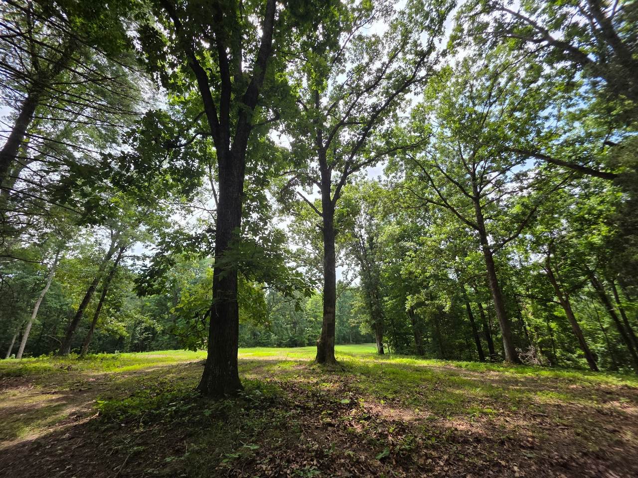 https://bt-photos.global.ssl.fastly.net/nashville/1280_boomver_1_RTC3228601-1.jpg
