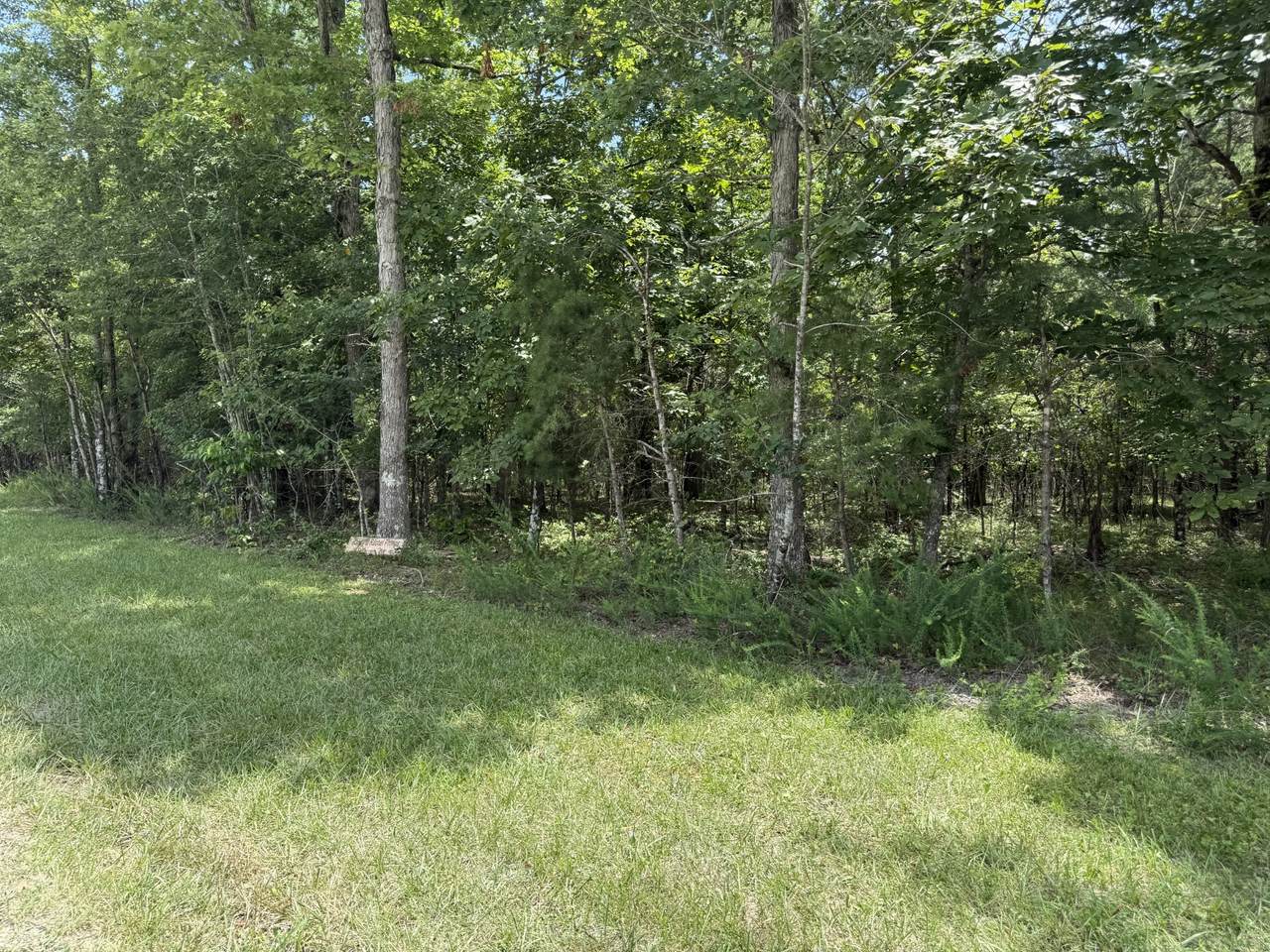 0 Long Branch Rd - Photo 1