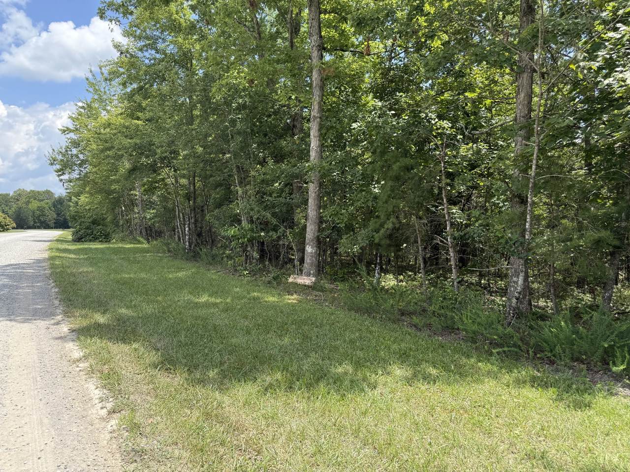 https://bt-photos.global.ssl.fastly.net/nashville/1280_boomver_1_RTC3229114-1.jpg