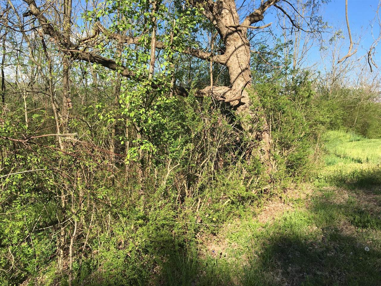 https://bt-photos.global.ssl.fastly.net/nashville/1280_boomver_1_RTC3229134-1.jpg