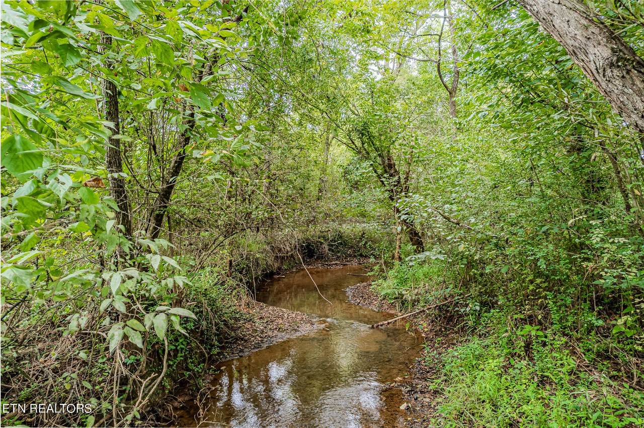 0 County Road 432 - Photo 1