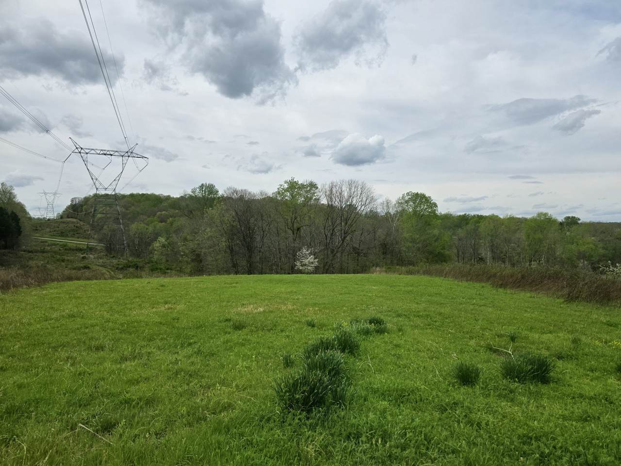 0 Old Highway 48 - Photo 1