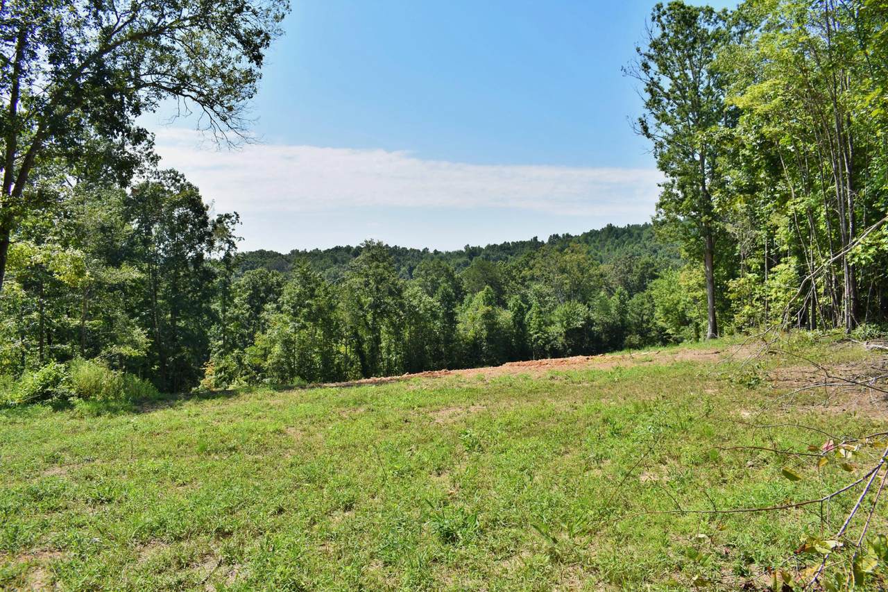 https://bt-photos.global.ssl.fastly.net/nashville/1280_boomver_1_RTC3229690-1.jpg
