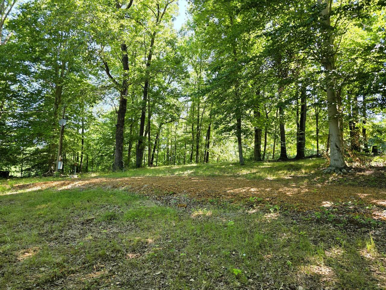 https://bt-photos.global.ssl.fastly.net/nashville/1280_boomver_1_RTC3229836-1.jpg
