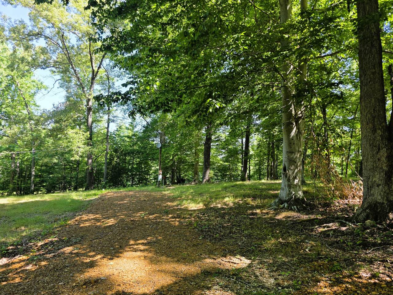 https://bt-photos.global.ssl.fastly.net/nashville/1280_boomver_1_RTC3229836-1.jpg