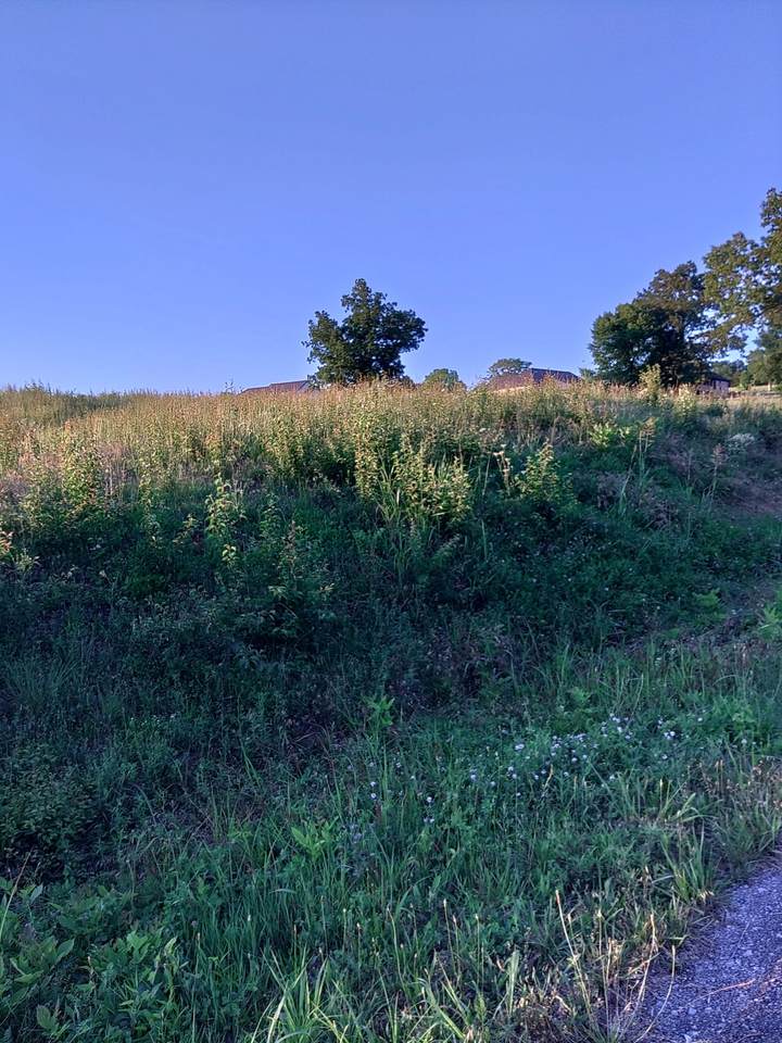 0 Collins Run - Photo 1