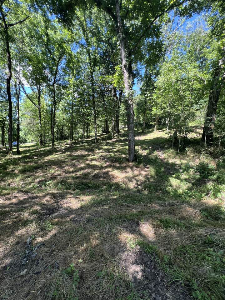 0 Horseshoe Bend Ln - Photo 1