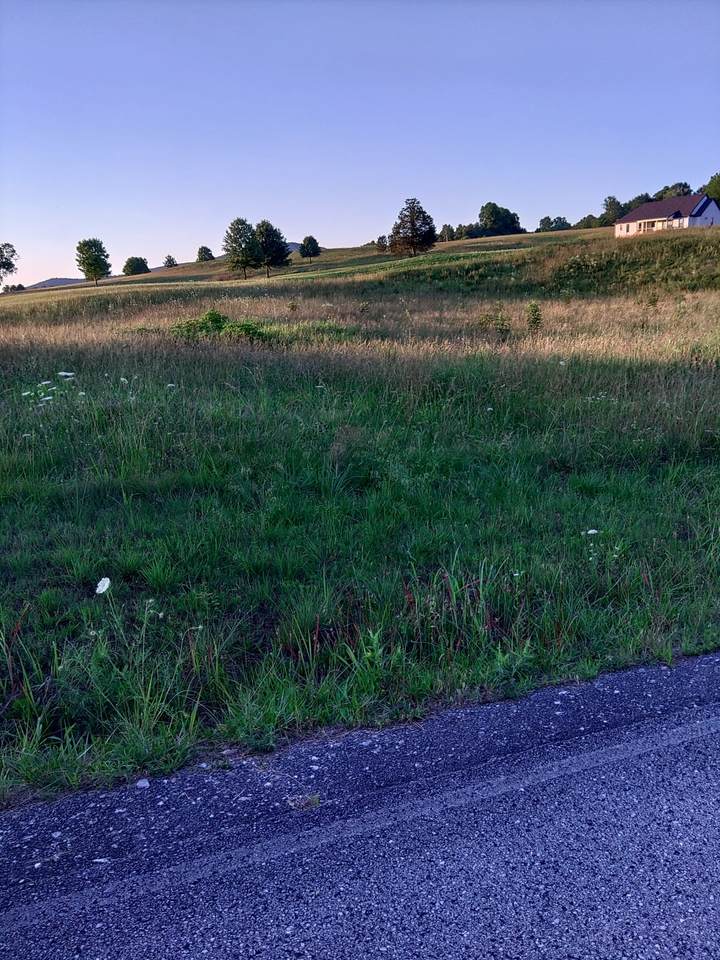 0 Collins Run - Photo 1