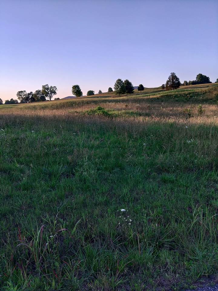 https://bt-photos.global.ssl.fastly.net/nashville/1280_boomver_1_RTC3230335-1.jpg