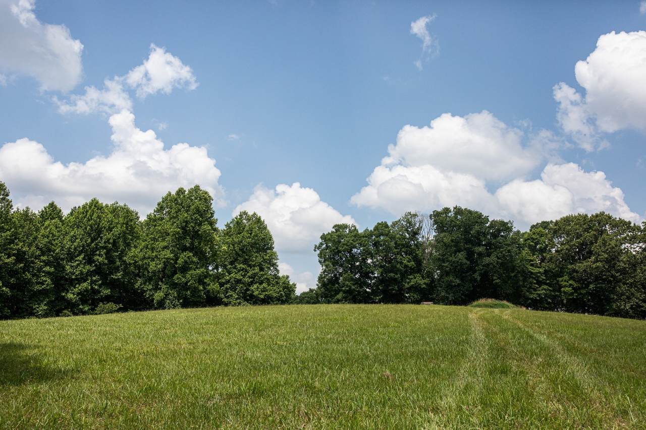 https://bt-photos.global.ssl.fastly.net/nashville/1280_boomver_1_RTC3230680-1.jpg