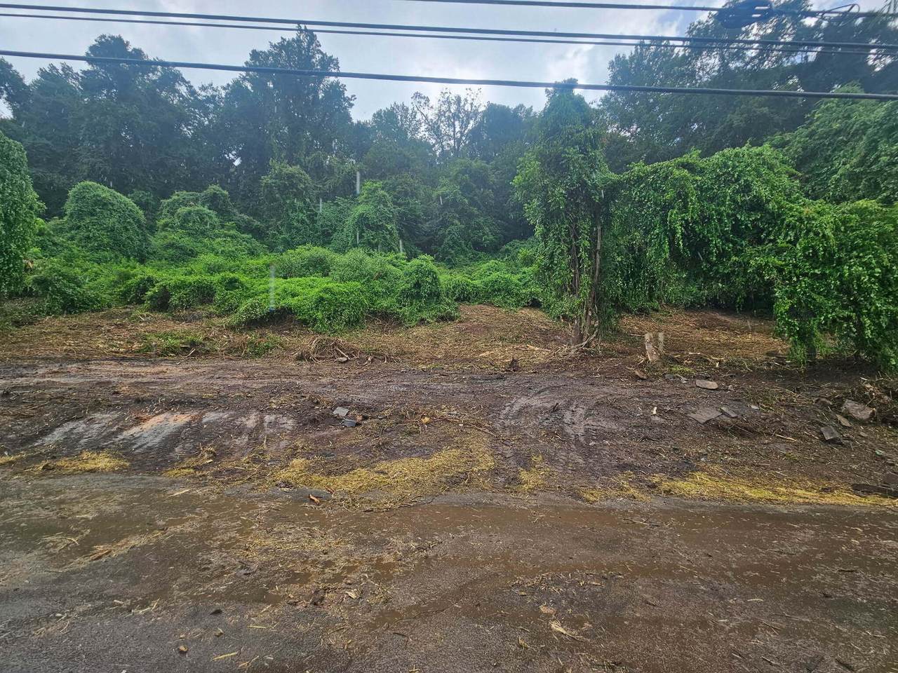 0 Old Jasper Road - Photo 1