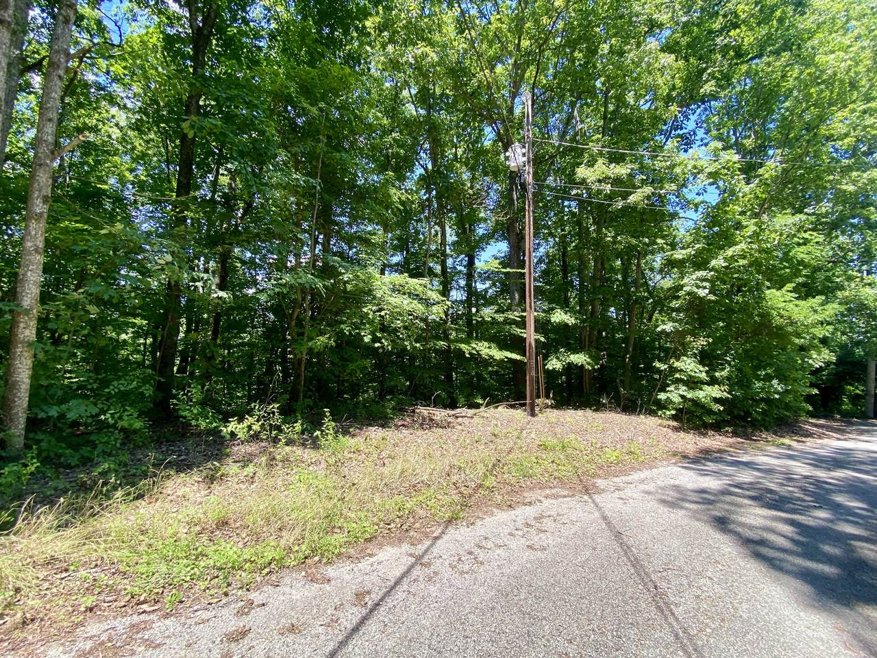 0 Dogwood Place - Photo 1