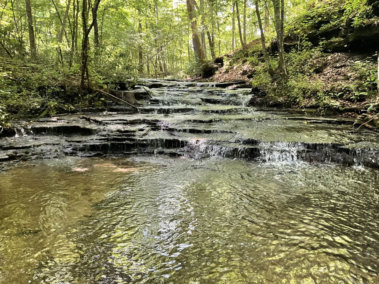 0 Fergus Ln - Photo 1