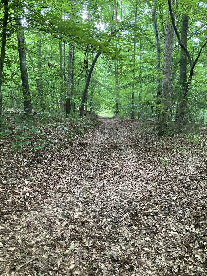 https://bt-photos.global.ssl.fastly.net/nashville/1280_boomver_1_RTC3230781-1.jpg