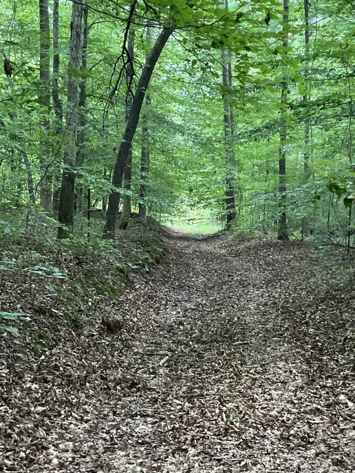https://bt-photos.global.ssl.fastly.net/nashville/1280_boomver_1_RTC3230781-1.jpg