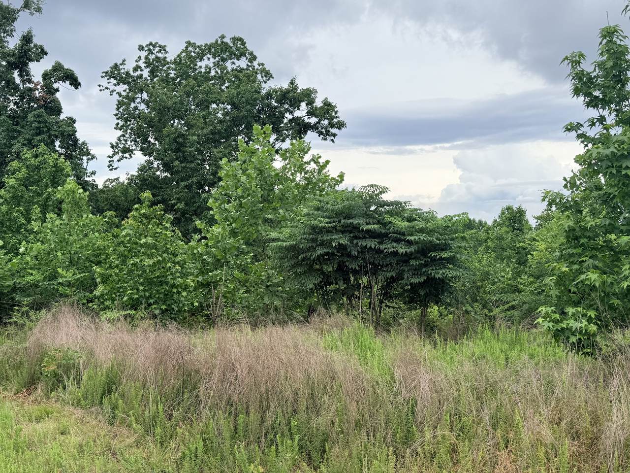 https://bt-photos.global.ssl.fastly.net/nashville/1280_boomver_1_RTC3230890-1.jpg