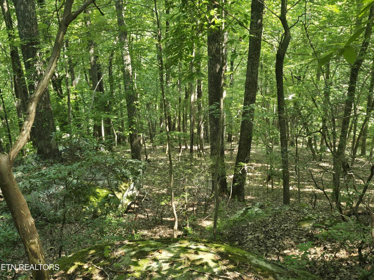 https://bt-photos.global.ssl.fastly.net/nashville/1280_boomver_1_RTC3231278-1.jpg