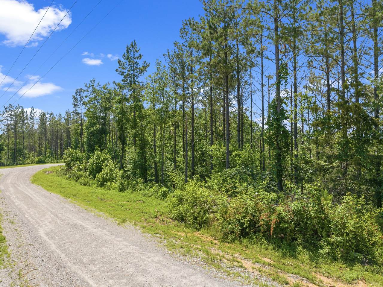 310 Highland Dr - Photo 1
