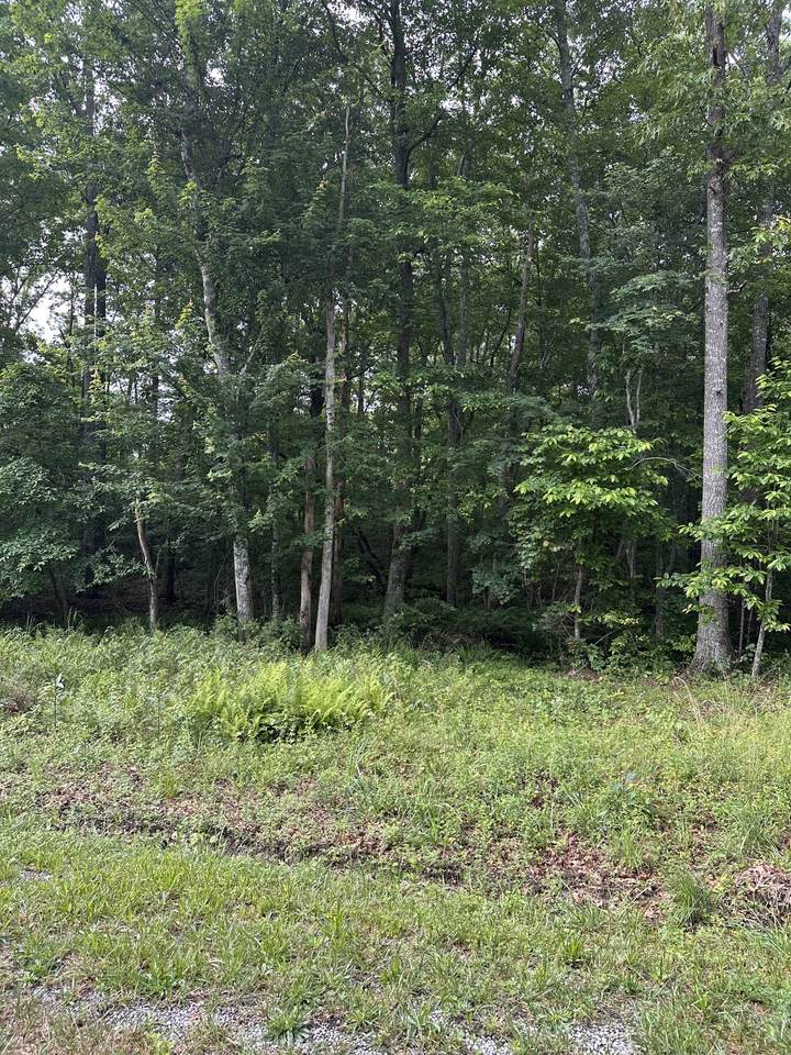 3031 Shawnee Rd - Photo 1