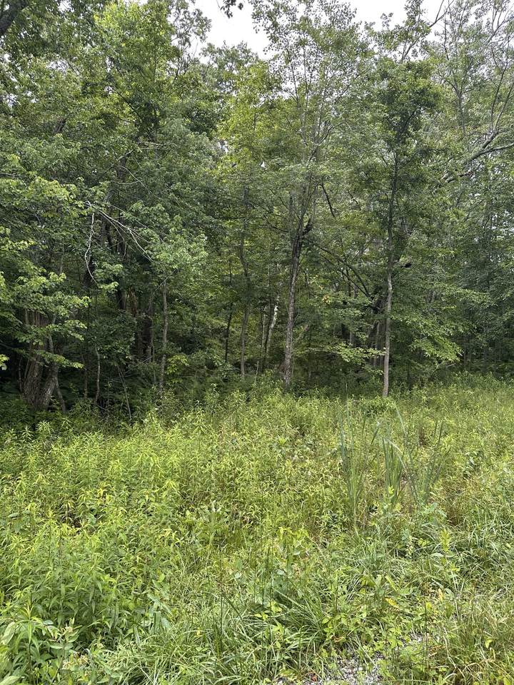 3119 Crow Dr - Photo 1