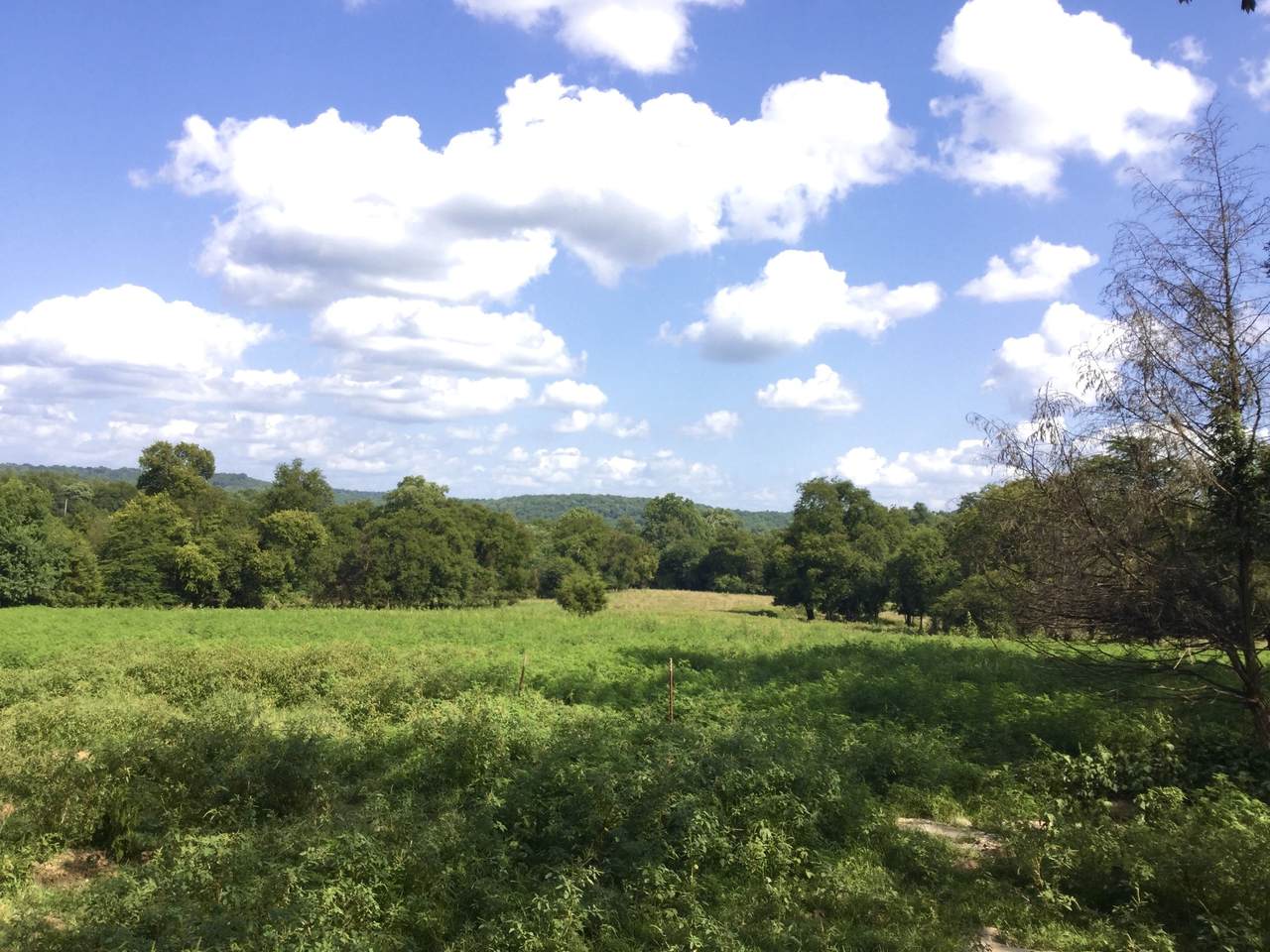 328 Wabash Road - Photo 1