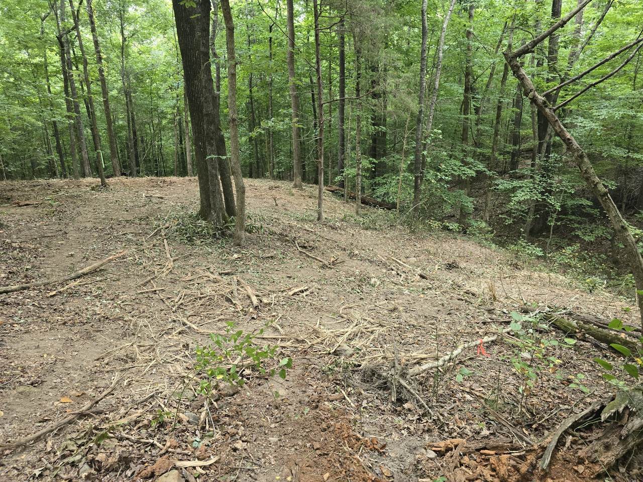 https://bt-photos.global.ssl.fastly.net/nashville/1280_boomver_1_RTC3231787-1.jpg