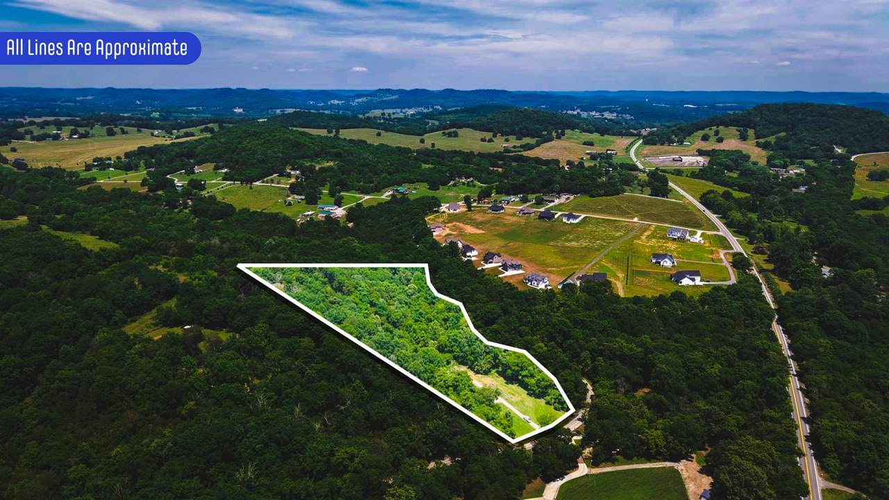 1990 Sulphur College Rd - Photo 1