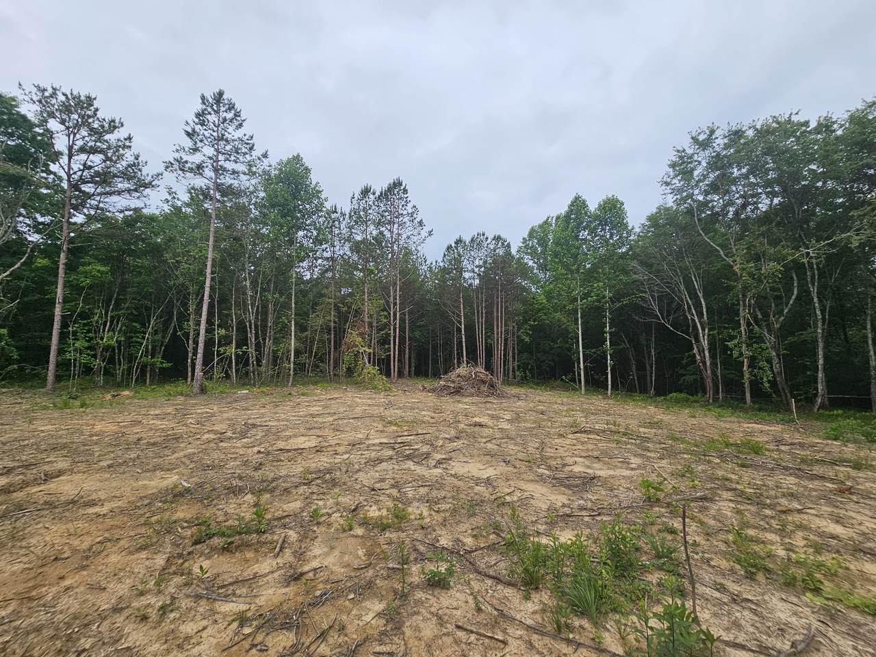 229 Windstone Drive - Photo 1