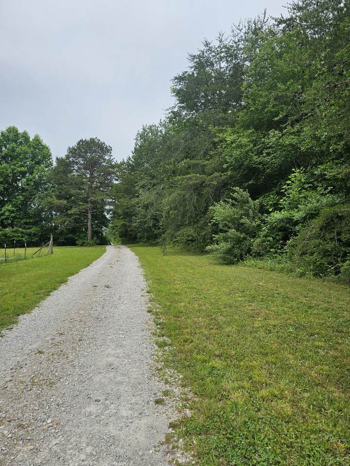 https://bt-photos.global.ssl.fastly.net/nashville/1280_boomver_1_RTC3232152-1.jpg