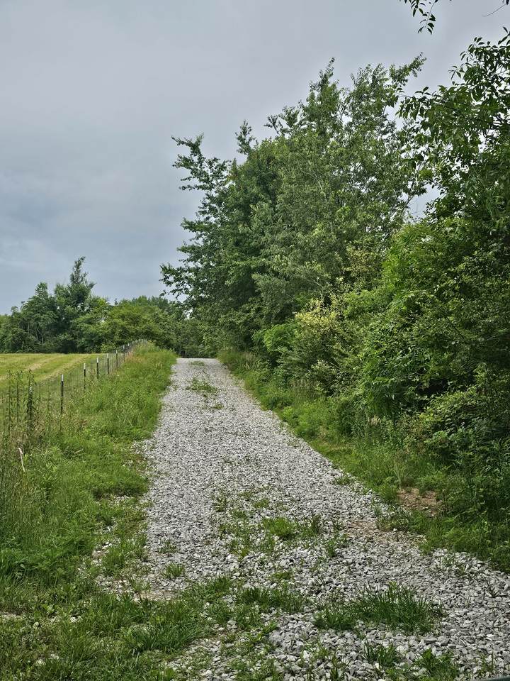 https://bt-photos.global.ssl.fastly.net/nashville/1280_boomver_1_RTC3232152-1.jpg