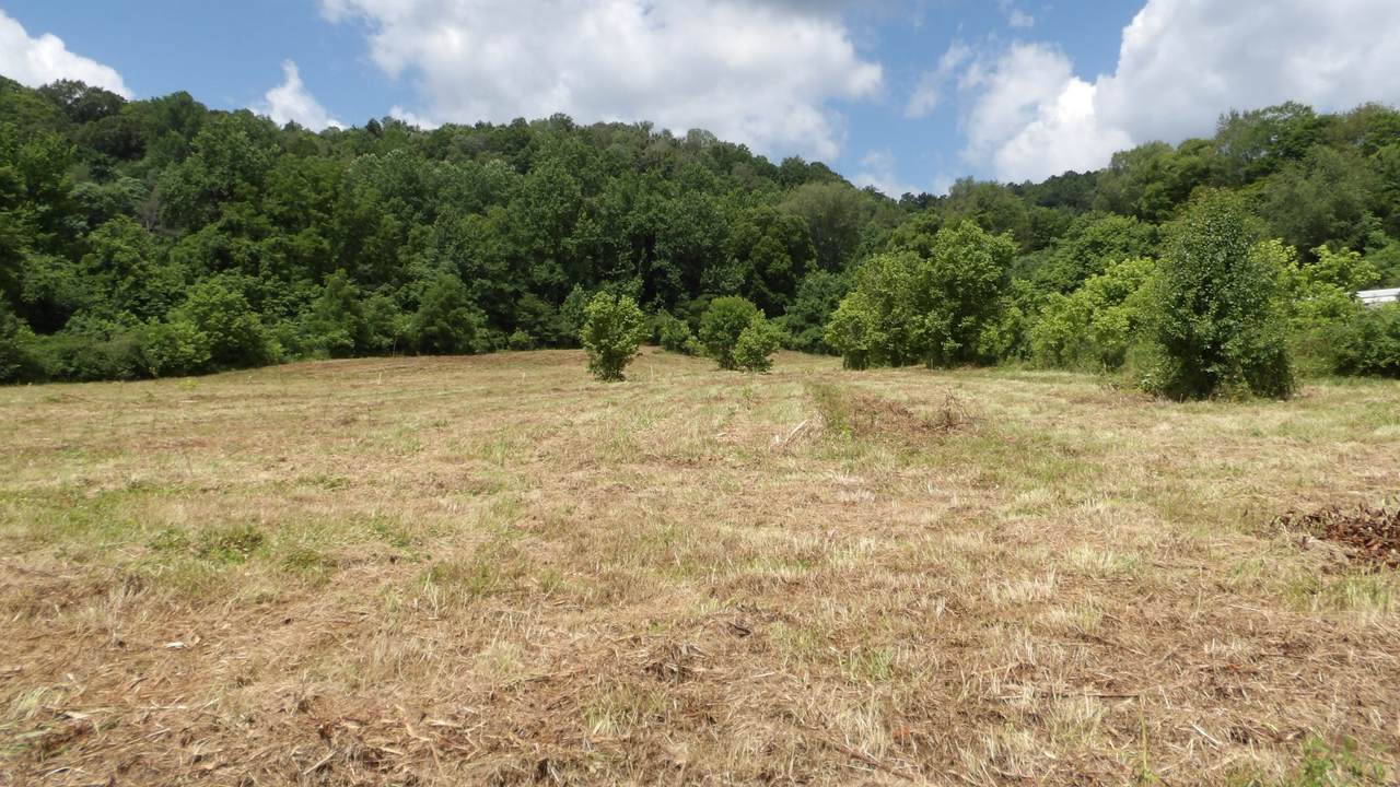 0 Lonnie Reecer Rd - Photo 1