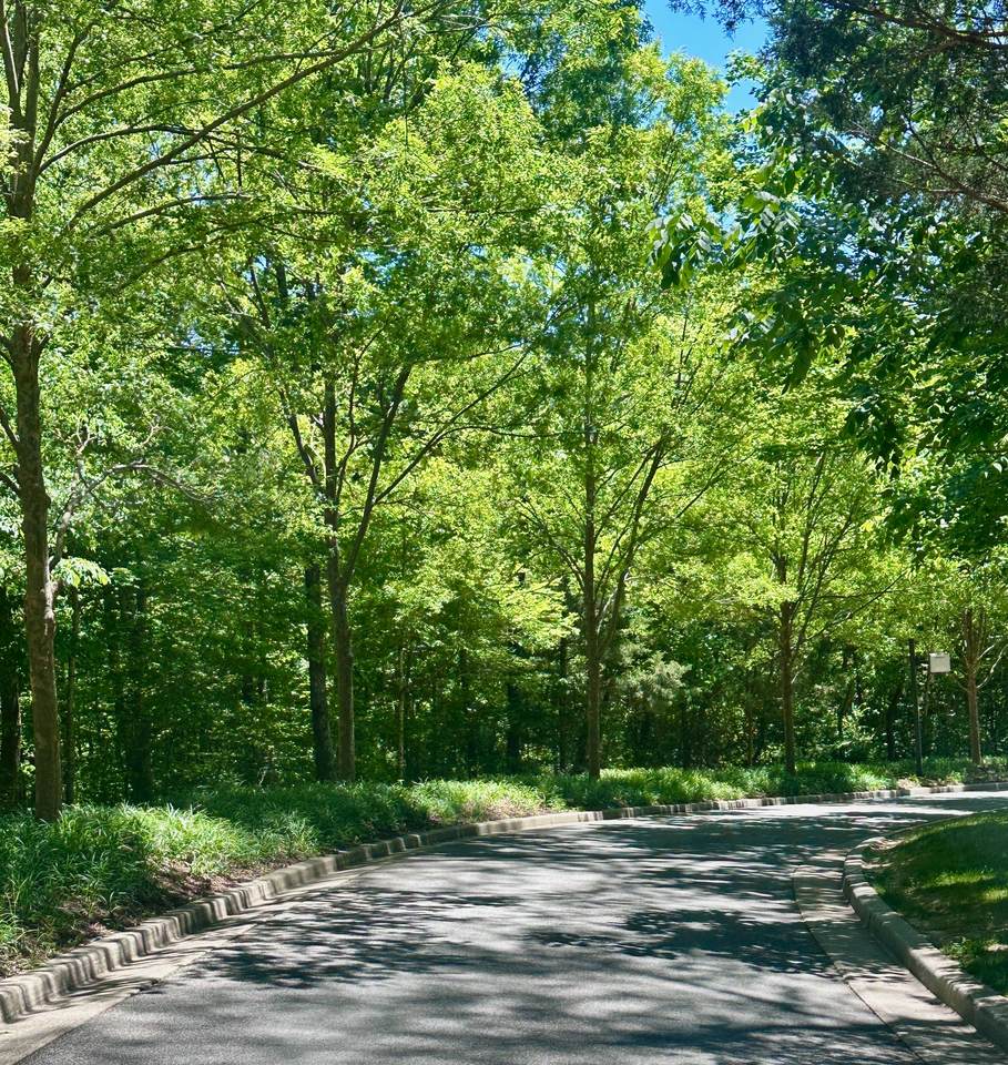 https://bt-photos.global.ssl.fastly.net/nashville/1280_boomver_1_RTC3232484-1.jpg