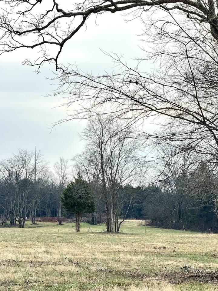 https://bt-photos.global.ssl.fastly.net/nashville/1280_boomver_1_RTC3232584-1.jpg