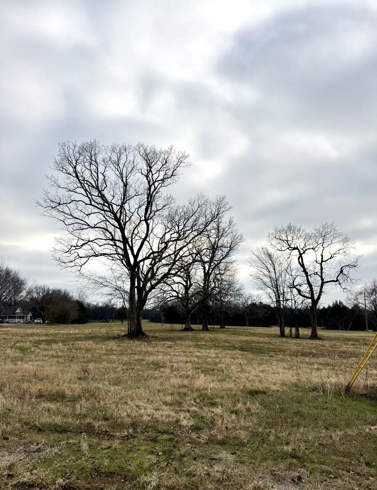 https://bt-photos.global.ssl.fastly.net/nashville/1280_boomver_1_RTC3232584-1.jpg