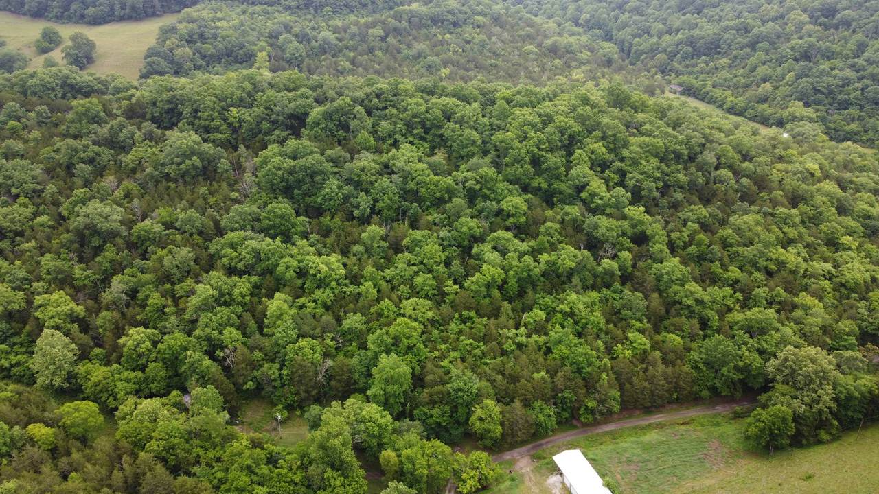 32 Patterson Ln - Photo 1