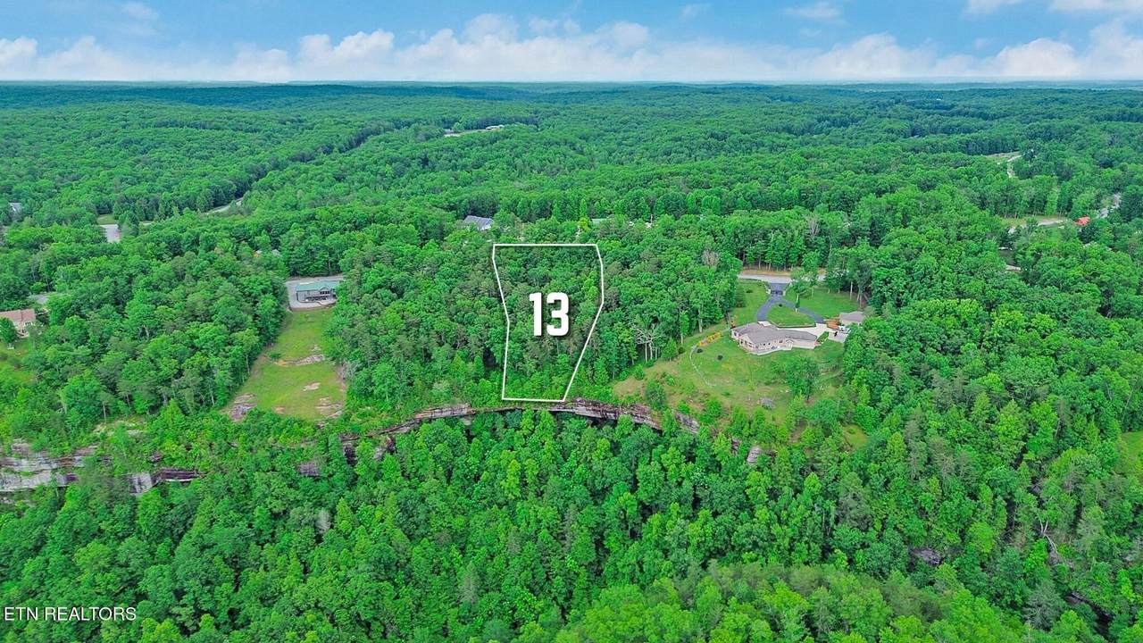 0 Eagle Bluff - Photo 1