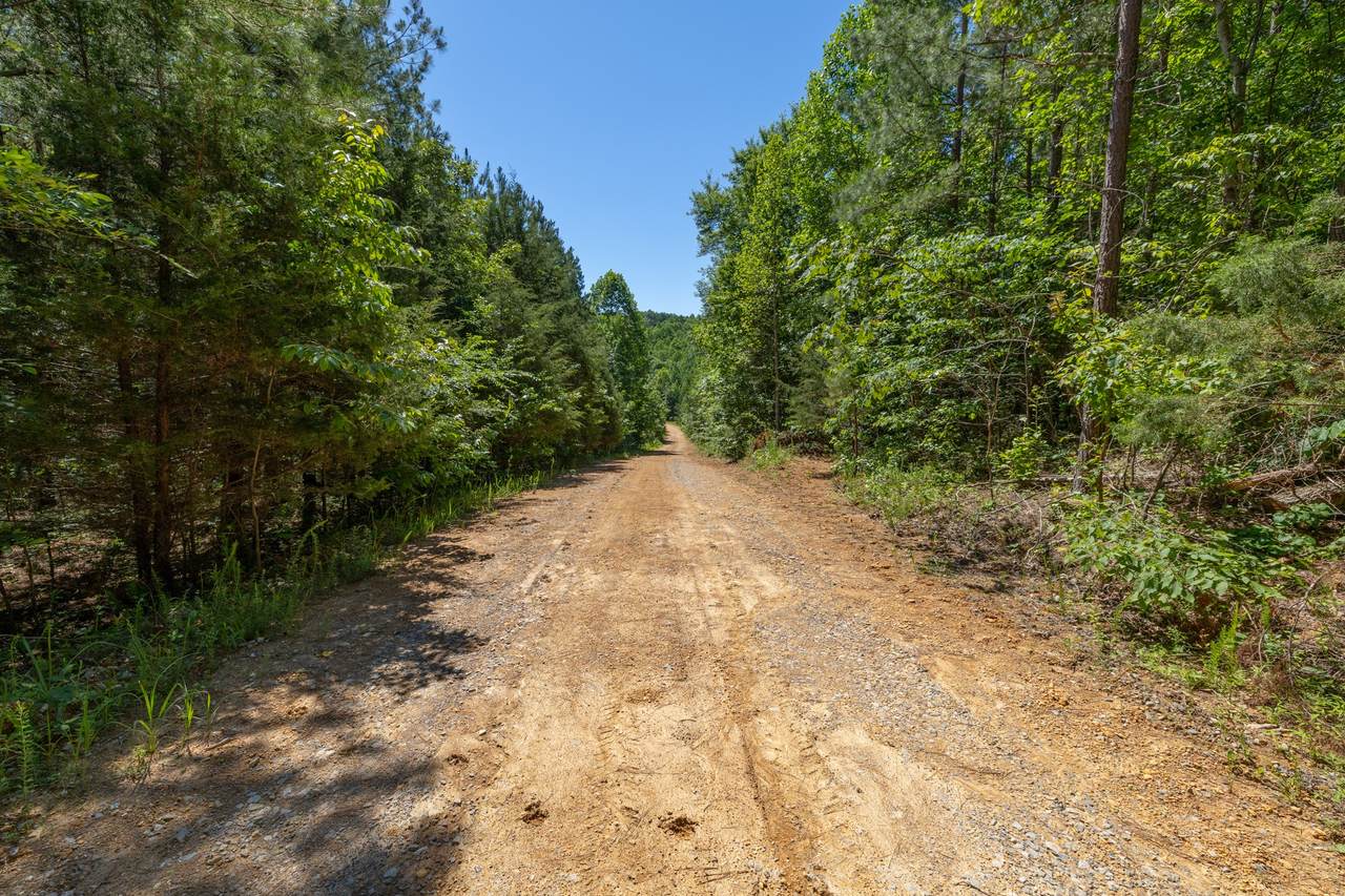 https://bt-photos.global.ssl.fastly.net/nashville/1280_boomver_1_RTC3233074-1.jpg