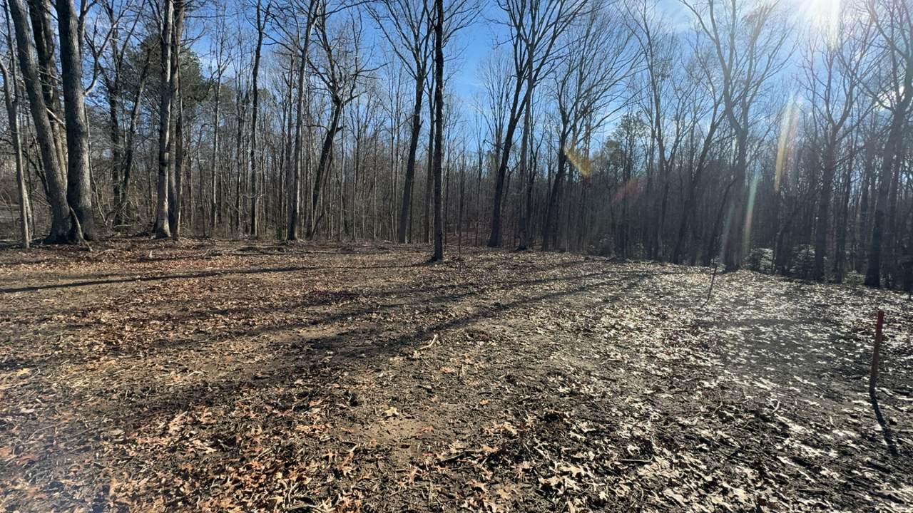 637 Flat Branch Rd - Photo 1