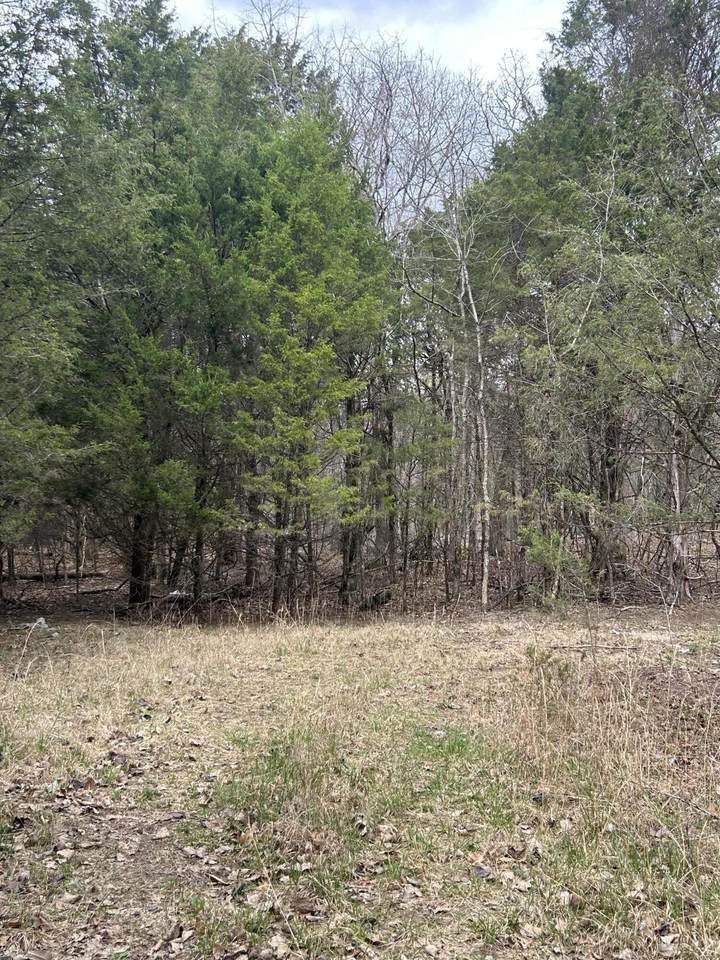 https://bt-photos.global.ssl.fastly.net/nashville/1280_boomver_1_RTC3233619-1.jpg