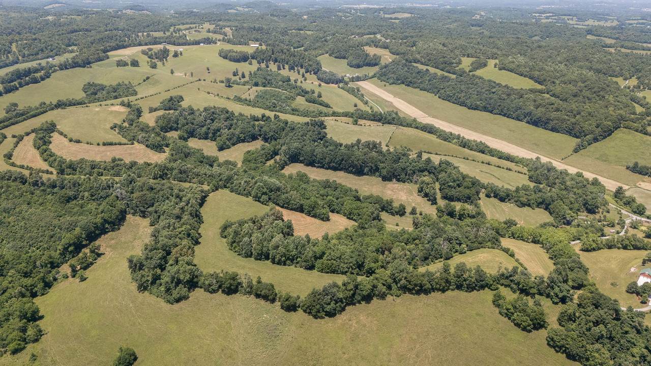 499 Mount Herman Rd - Photo 1