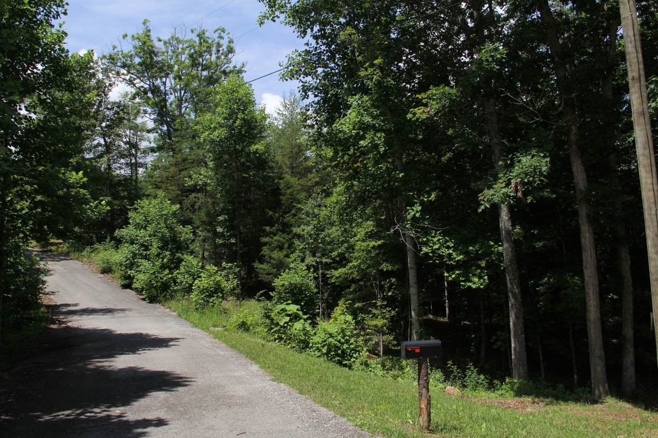 0 Meadow Dr - Photo 1