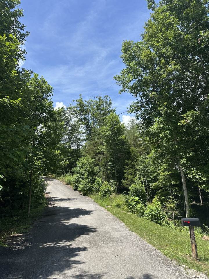 https://bt-photos.global.ssl.fastly.net/nashville/1280_boomver_1_RTC3233781-1.jpg