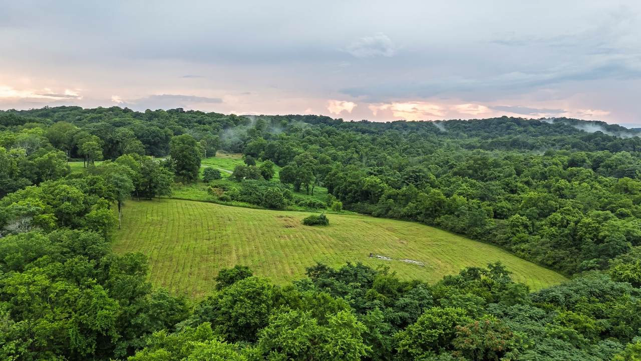 https://bt-photos.global.ssl.fastly.net/nashville/1280_boomver_1_RTC3234014-1.jpg