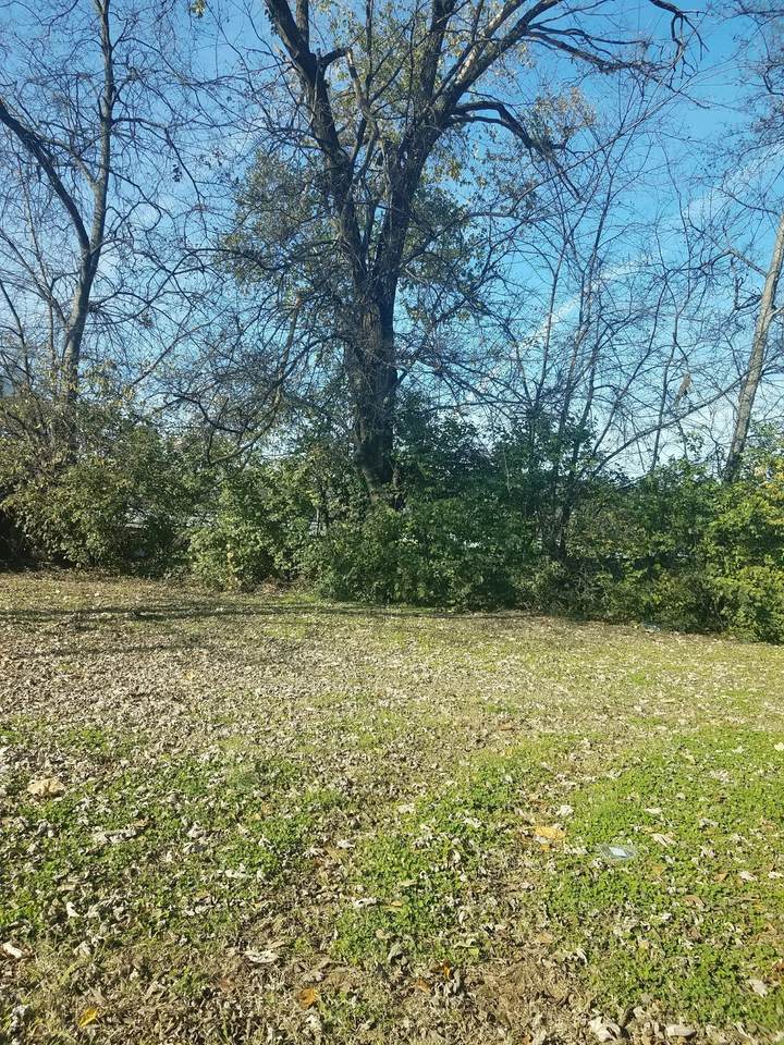 1817 7th Ave - Photo 1