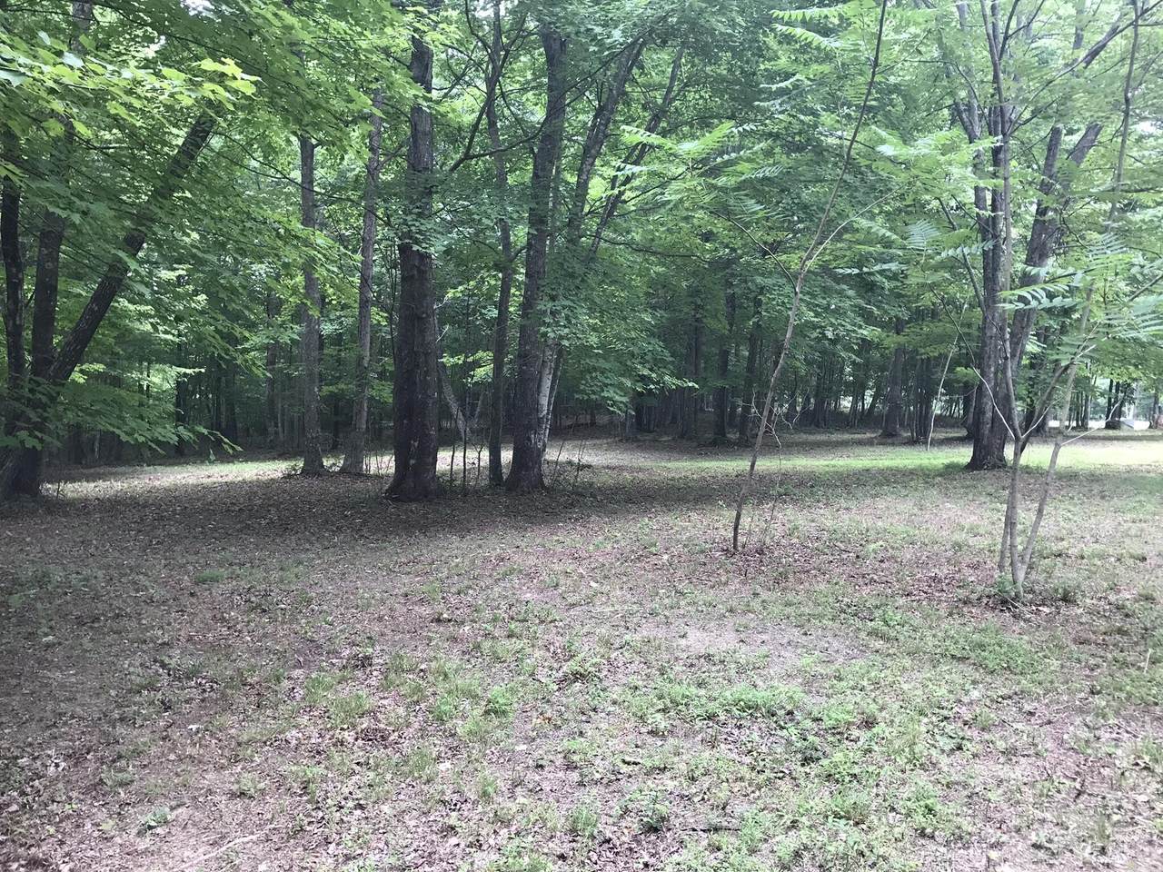 503 Wilderness Way - Photo 1