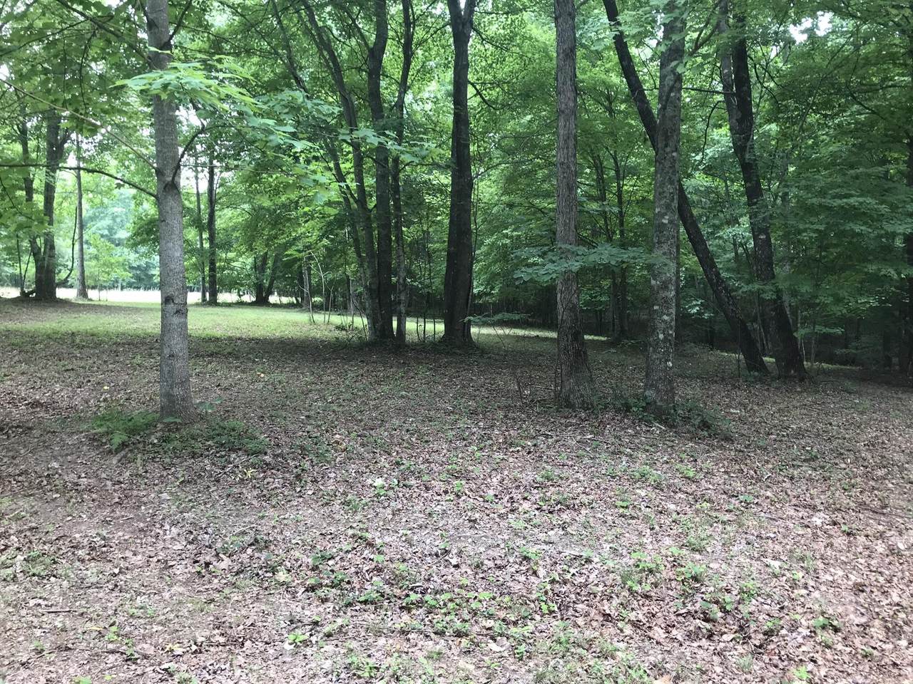 https://bt-photos.global.ssl.fastly.net/nashville/1280_boomver_1_RTC3234314-1.jpg