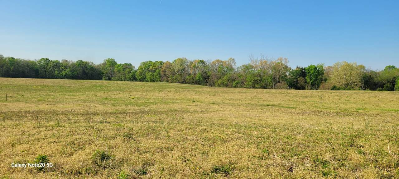 1 Mount Lebanon Church Rd - Photo 1