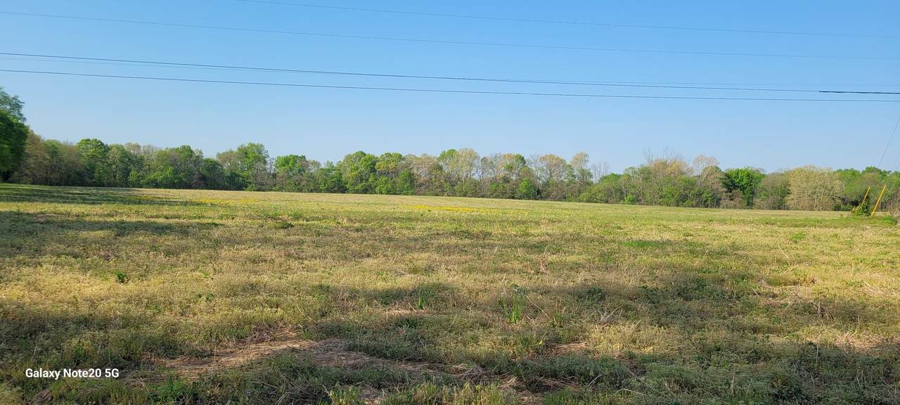 2 Mount Lebanon Church Rd - Photo 1
