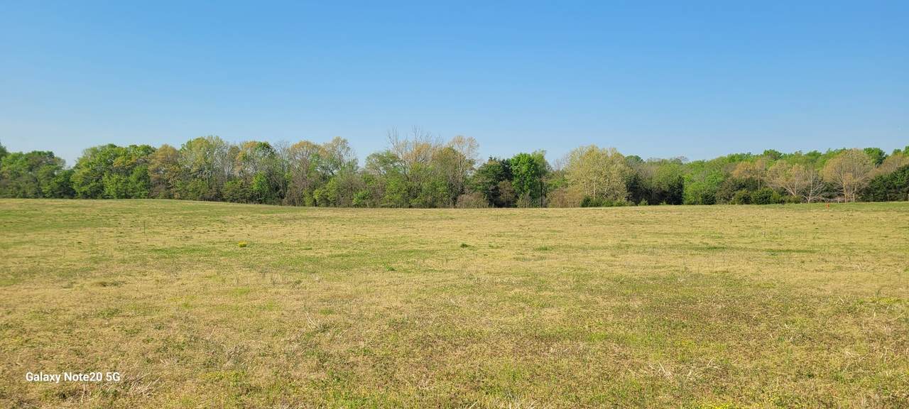 4 Mount Lebanon Church Rd - Photo 1